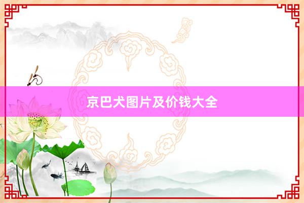 京巴犬图片及价钱大全