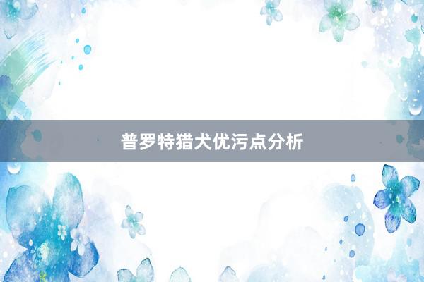 普罗特猎犬优污点分析