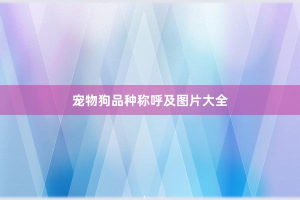 宠物狗品种称呼及图片大全
